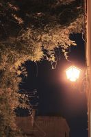 IMG_9660