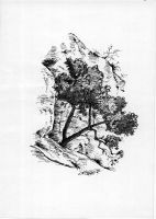SKica