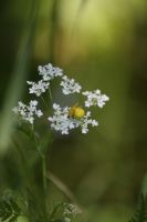 IMG_2719