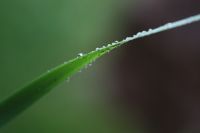 IMG_4075
